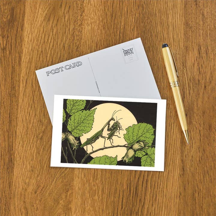 Found Image Press - Wholesale Postcard - Postcard IS-103 Praying Mantis with Grasshopper1