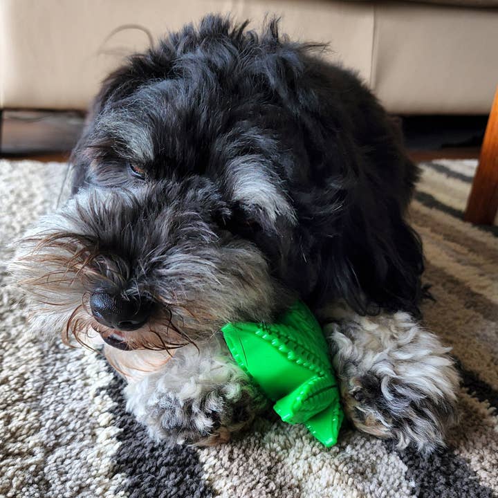 Rover Pet Products - Wholesale Pet chew toy – Dog - Maple Leaf3