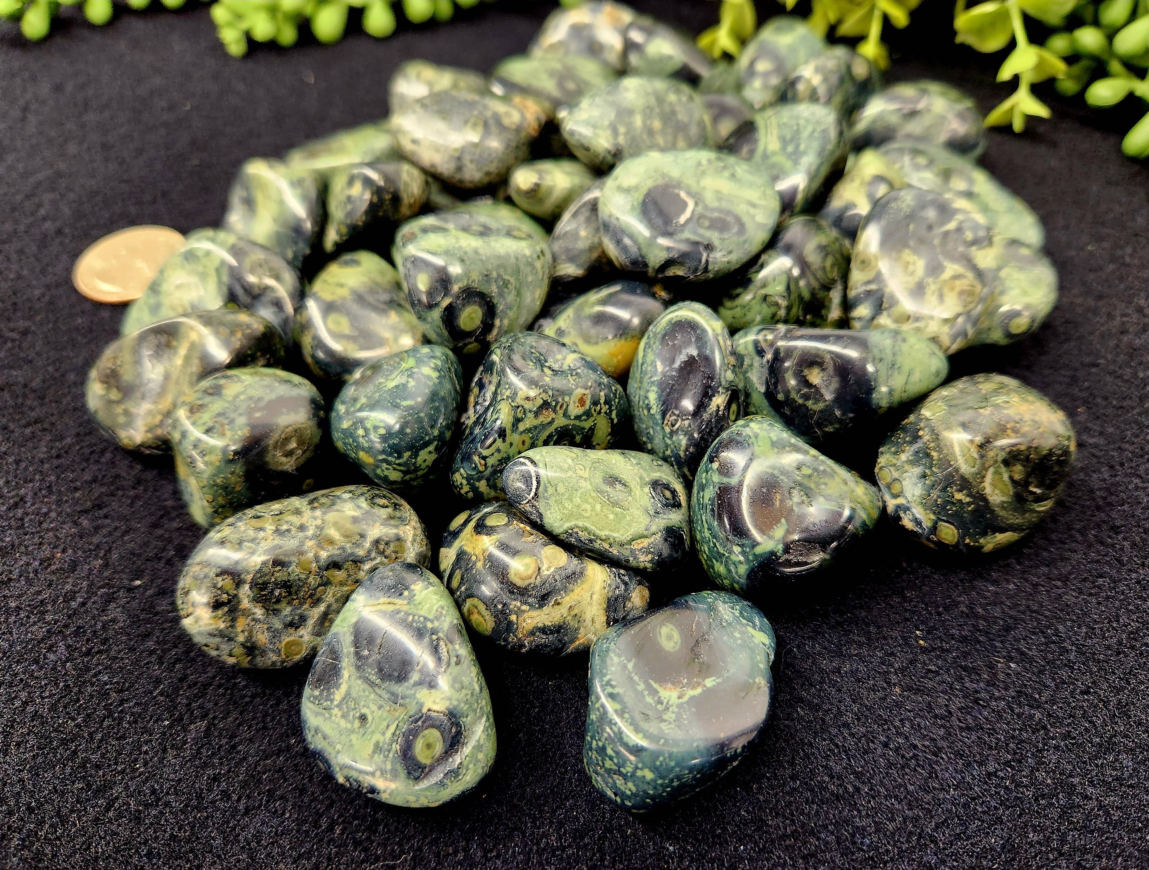 Meraki Gemstones - Wholesale Spiritual Stone/Crystal - Kambaba Jasper (1kg/2.2 lbs.) Tumbled Approx. 30-35mm4