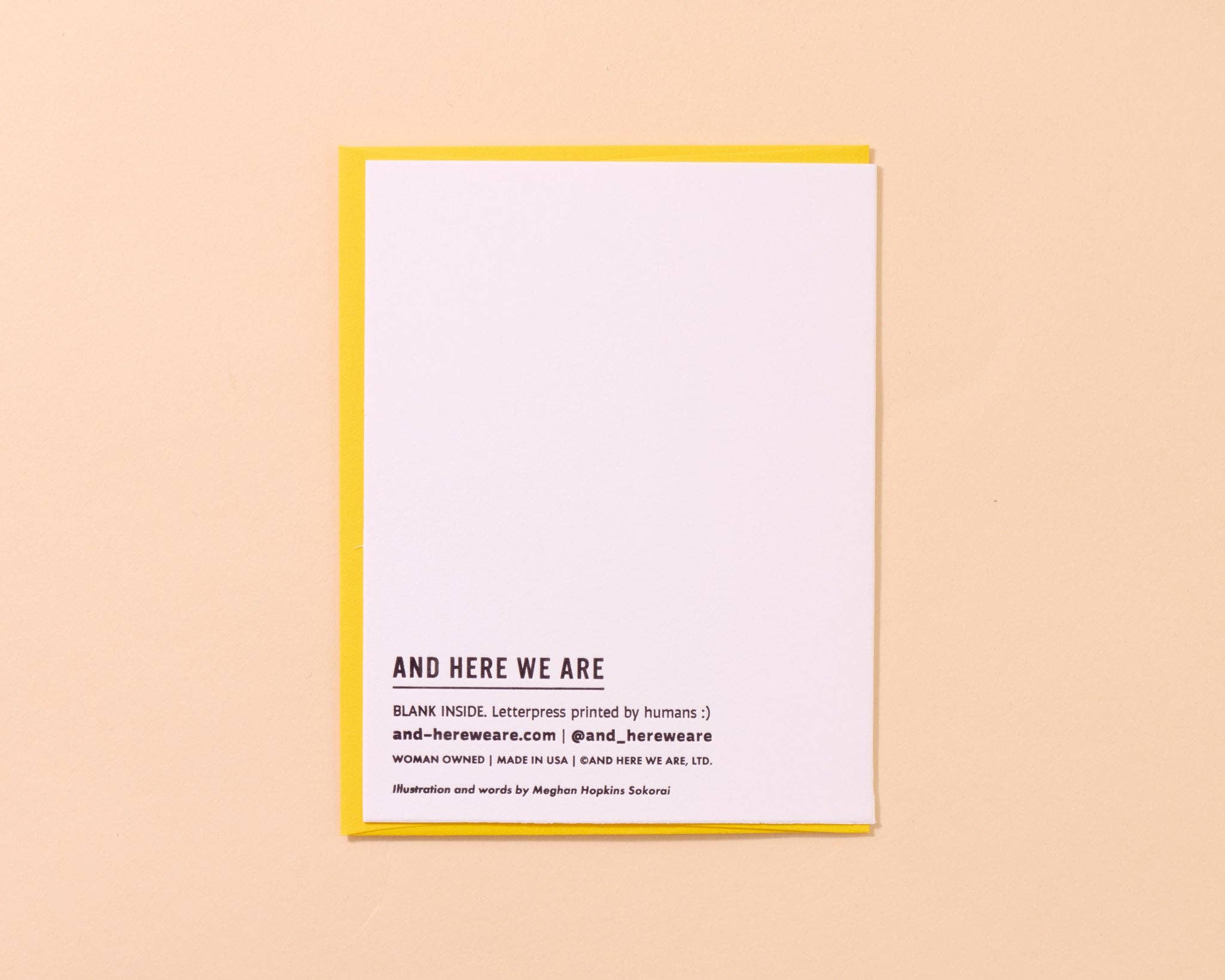 And Here We Are - Wholesale Birthday Card - Wishing You A Very Happy Cake Letterpress Birthday Card - Made in USA3