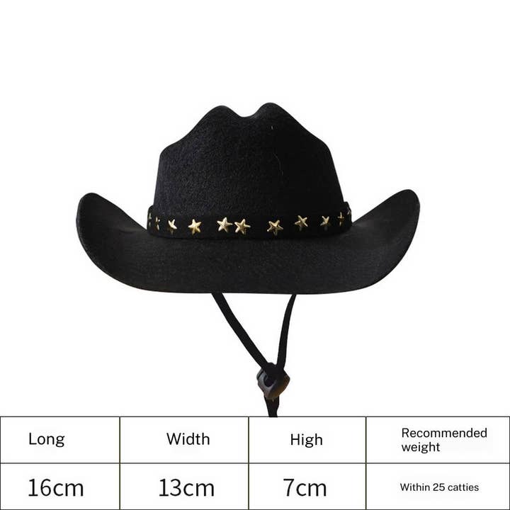 PAWPAWwholesale - Wholesale Pet Hat - Dog - Cowboy Hat for Cats – Stylish Sun Hat for Persian_CWMM72629