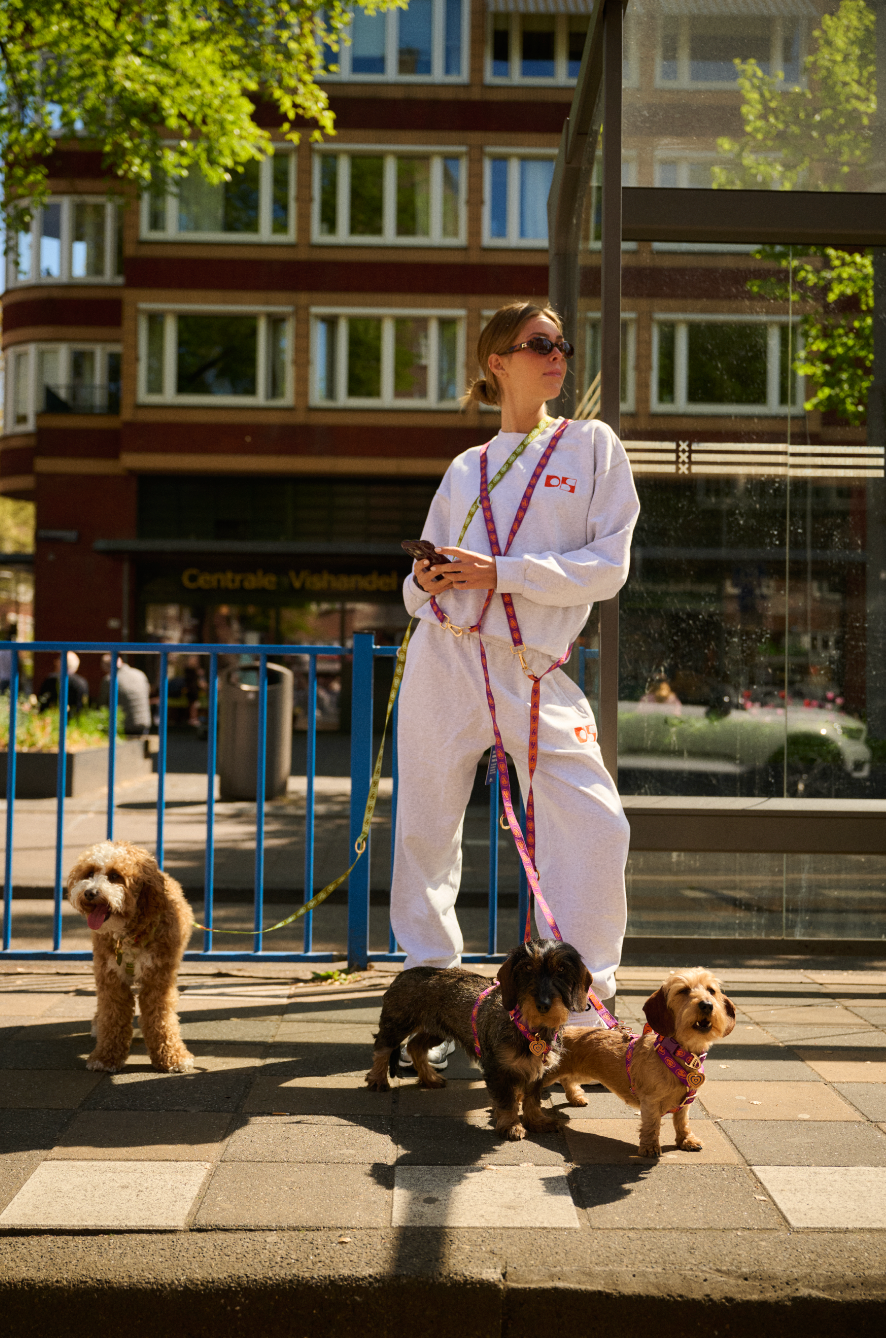 Furmey - Wholesale Pet Leash - Dog - Furmey Nez Hands Free Dog Leash5