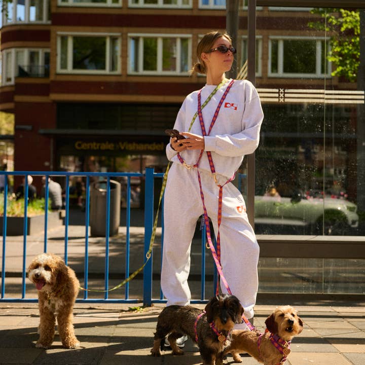 Furmey - Wholesale Pet Leash - Dog - Furmey Nez Hands Free Dog Leash5