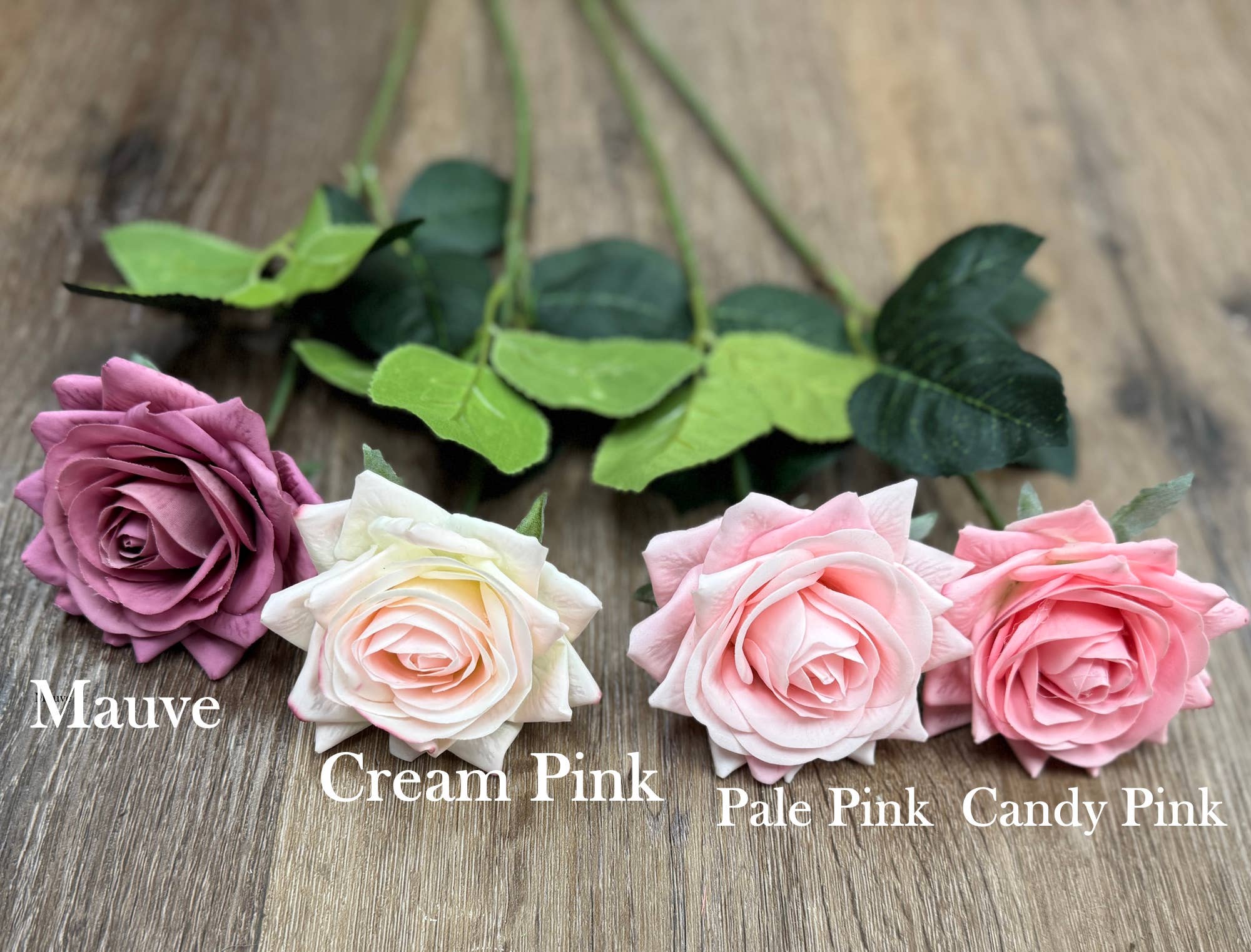 Angel Isabella - Wholesale Artificial Flowers - Pack of 50 stems-Ultra Realistic Rose-17"1