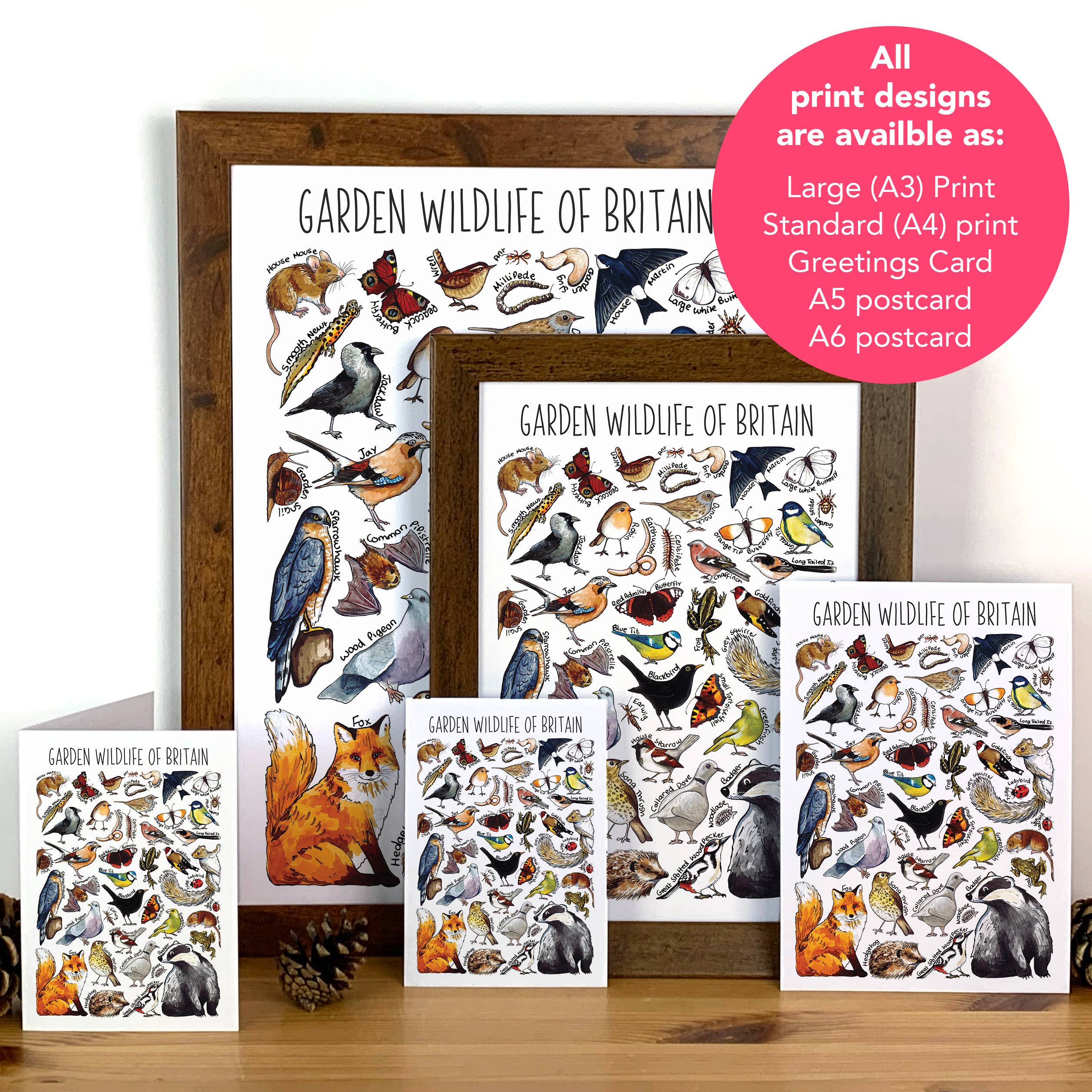 Alexia Claire Ltd - Wholesale Postcard - Garden Wildlife of Britain Art Blank Postcard2