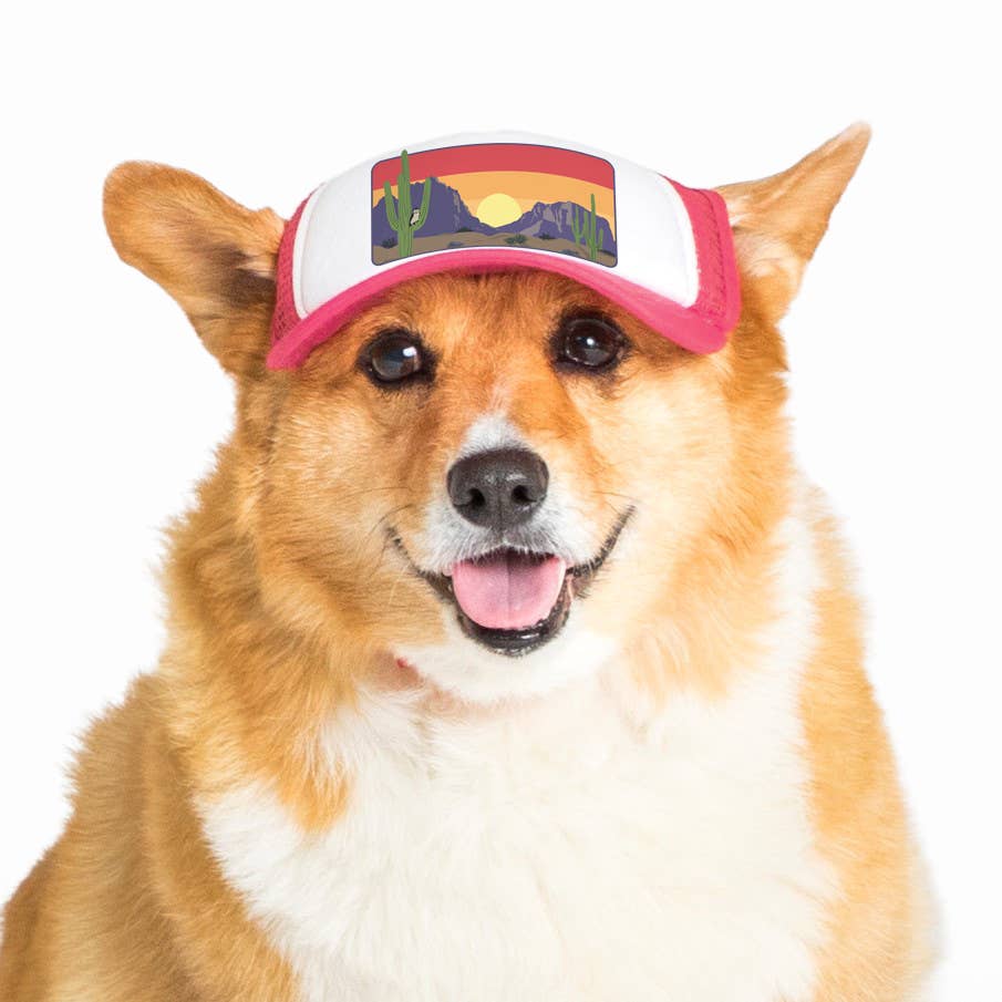 PupLid - Wholesale Pet Hat - Dog - Desert Owl Standard or Namedrop | Trucker Hat for Dogs14