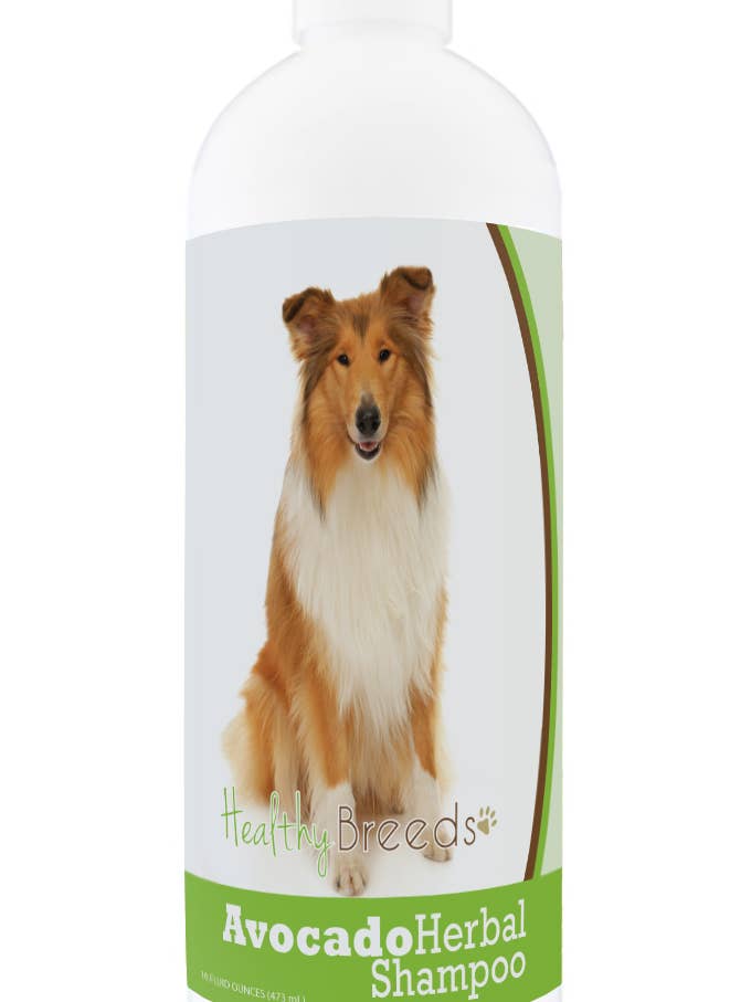 Healthy Breeds Collie Avocat Herbal Chien Shampooing 16 oz pour la vente par Healthy Breeds