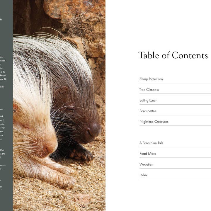 The Creative Company - Wholesale Early Reader Book (6-8) - Porcupines1