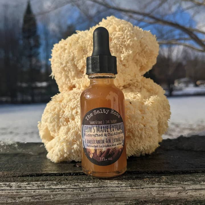 Lions Mane Mushroom Tincture for wholesale by The Salty Rose