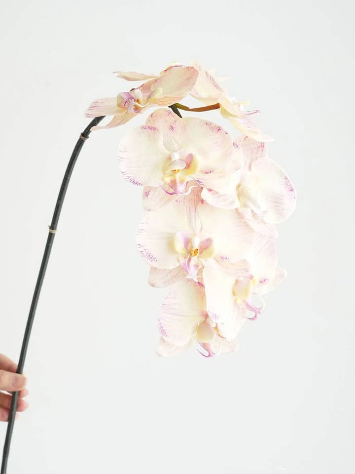 Real Touch Phalaenopsis Orchid Stem Yellow/Pink for wholesale by JKF & Co Pty Ltd