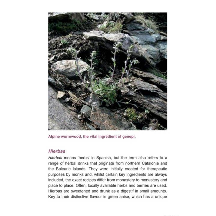 Microcosm Publishing & Distribution - Wholesale Book - Adult - Herbal Elixirs: A Guide to Making Your Own Medicinal Drinks