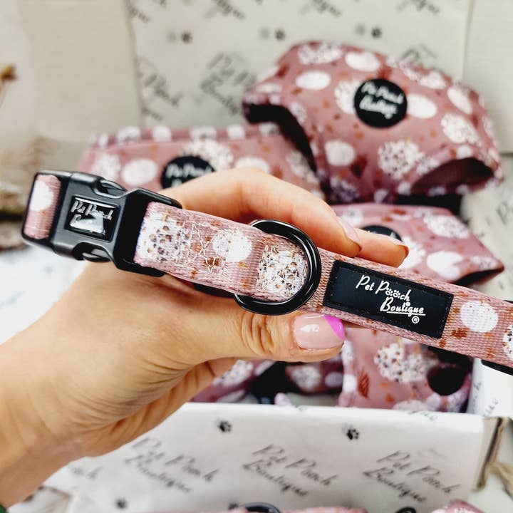 Pumpkin Leopard Latte Puppy/Dog Collar -Size XS - M (autumn) for wholesale by Pet Pooch Boutique