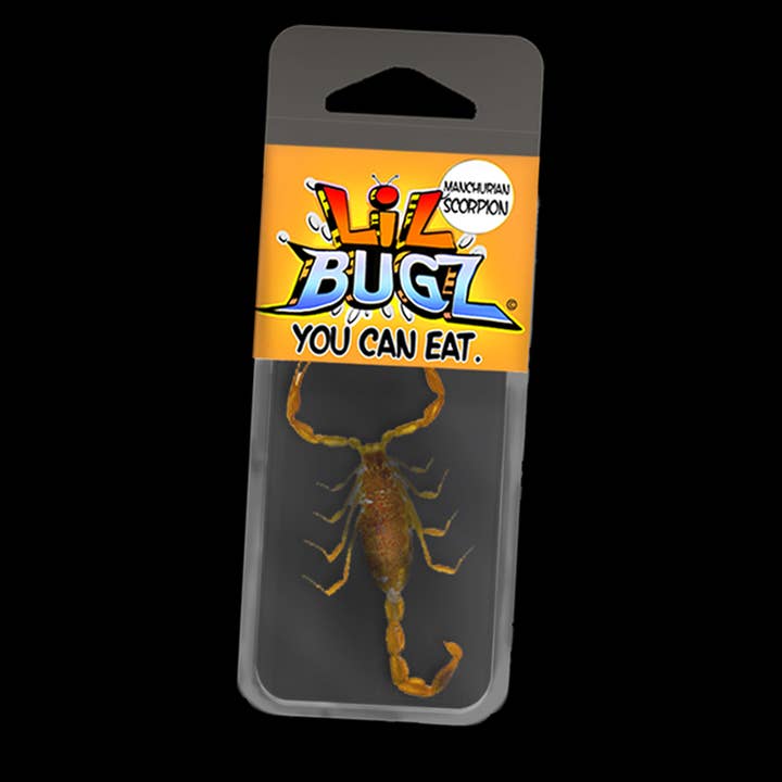 EntoLife Edible Insects - Crickets, Ants & Scorpions! - Vente Présentoir de commerçant - Nourriture et boissons - PETITS BUGS QUE VOUS POUVEZ MANGER EN PLEIN ÉCRAN