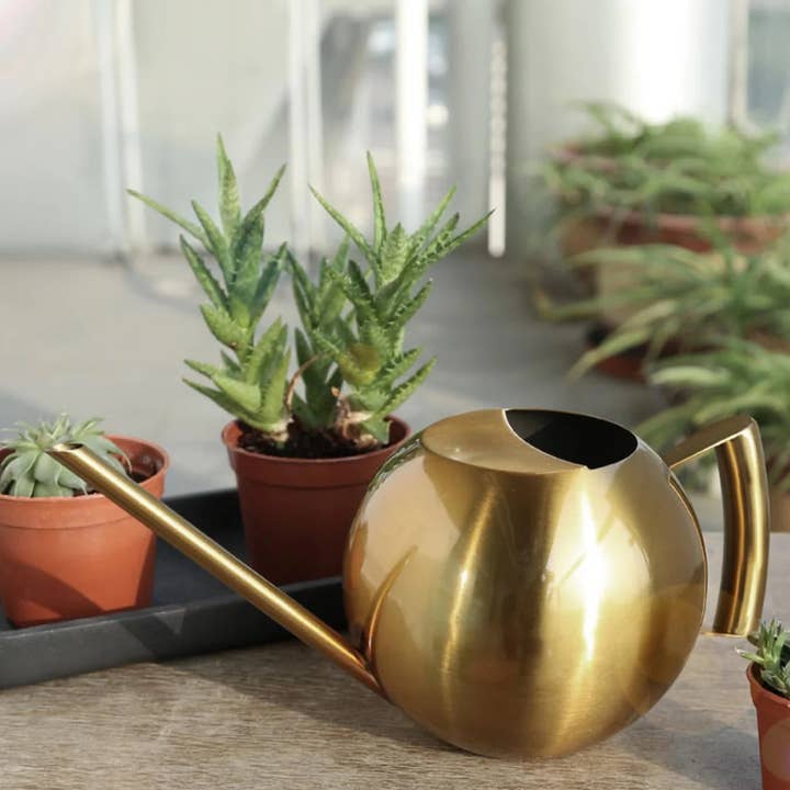 BRECK + FOX - Wholesale Watering Can - Minimalist Plant Watering Can5