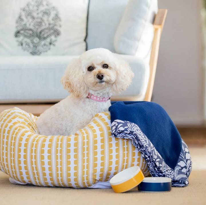 DOGUE - Wholesale Pet Bed - Dog - DOGUE Bolster Coastal Chic Dog Bed0