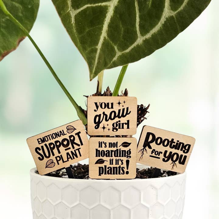 Funny Plant Sayings, Indoor Plant Accessories - Plant Stakes for wholesale by Leaf & Node