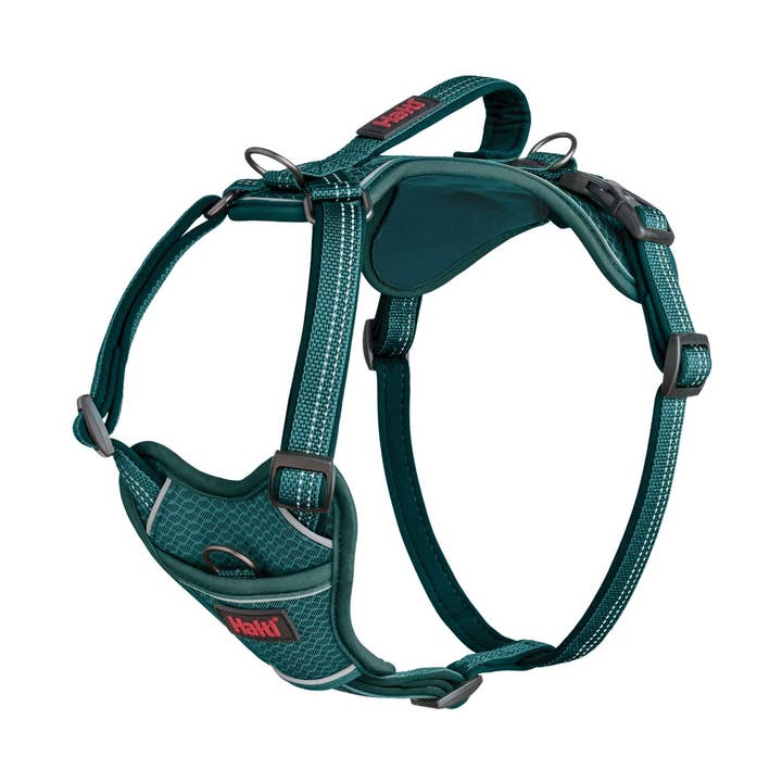 Halti Anatomy Harness for wholesale by Company of Animals