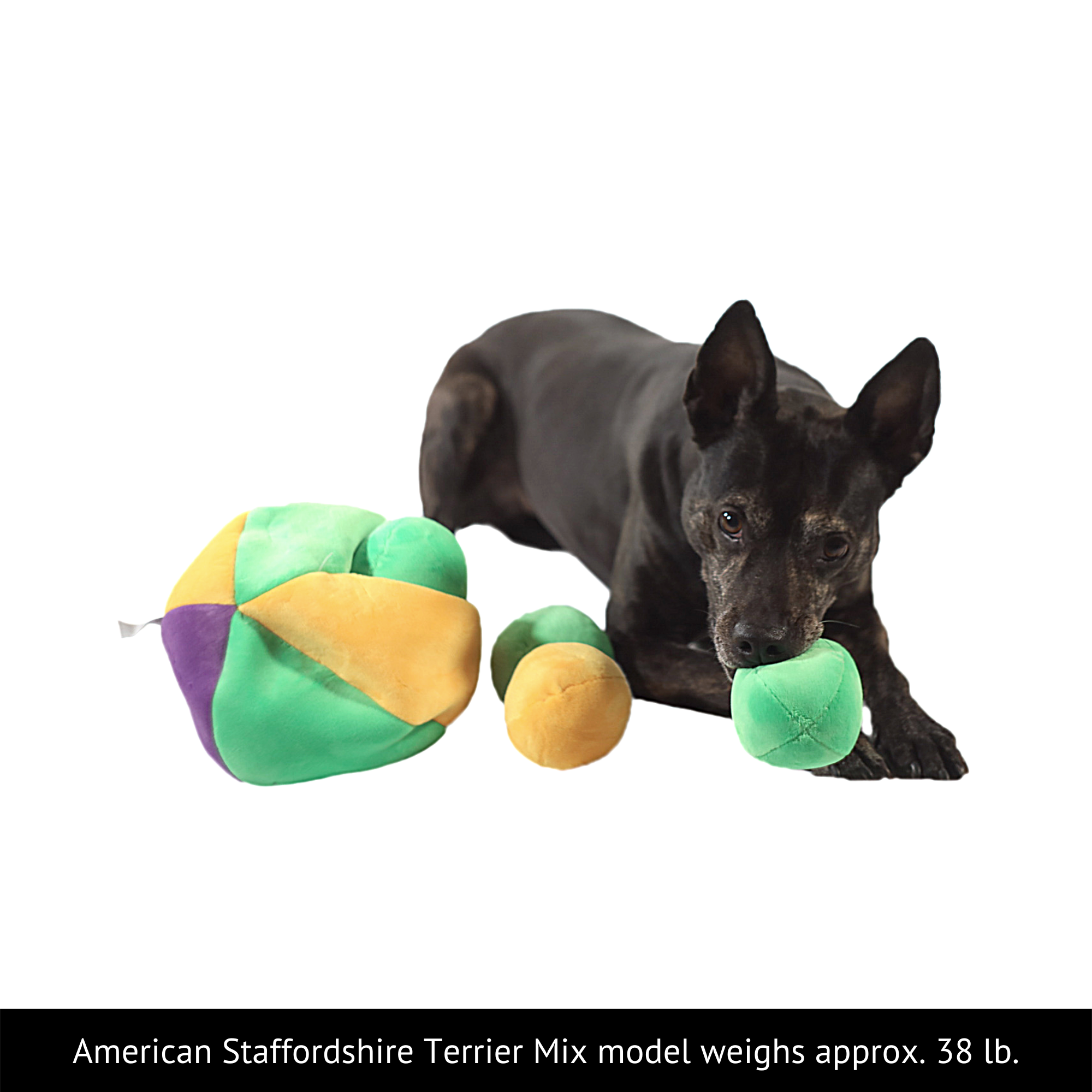 Midlee Designs - Wholesale Speeltje - Hond - Midlee Hide a Ball Dog puzzel speelgoed met pluche pieperballen8