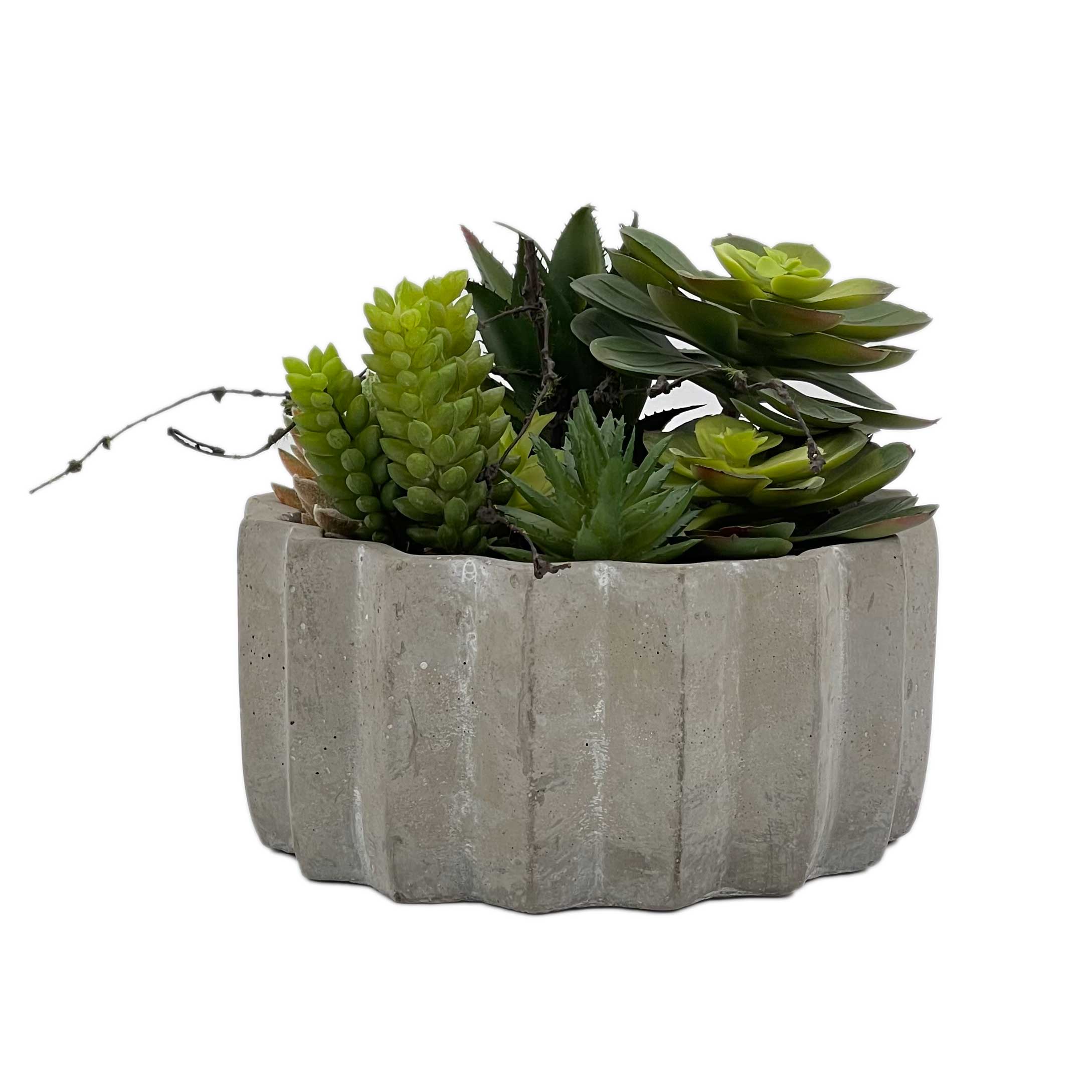 Galt International Company - Vendita all'ingrosso Pianta grassa - Succulenta sintetica in vaso di cemento da 17,8 cm di diametro3