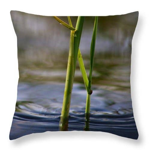 COUSSIN « LES PLANTES DU LAC » pour la vente par sorayadapuzzostore