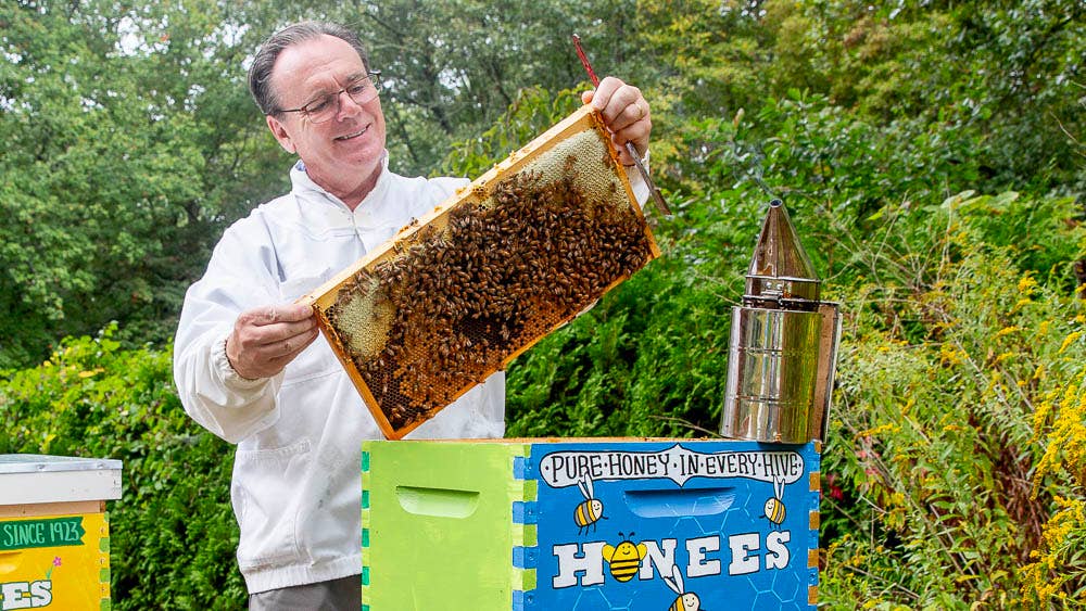 Andre Prost Inc. - Wholesale Hard Candy - HONEES™ Honey Filled Candy- Honey Caramels6