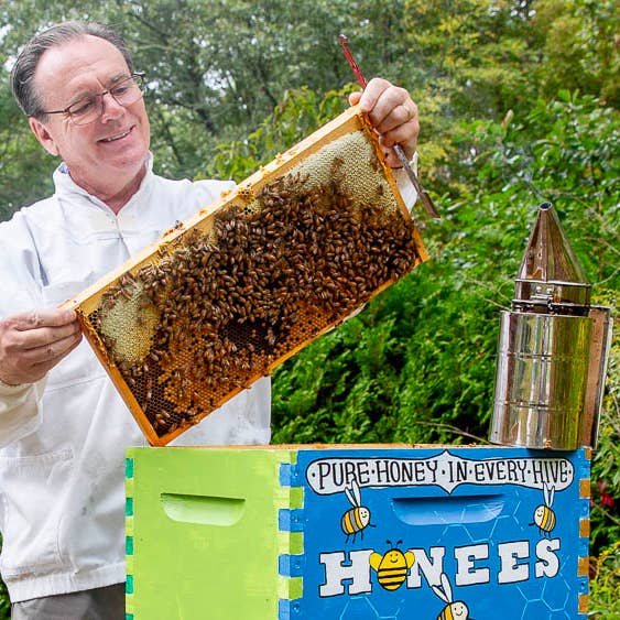 Andre Prost Inc. - Wholesale Hard Candy - HONEES™ Honey Filled Candy- Honey Caramels6