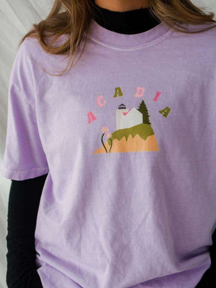 Acadia National Park Souvenir T-Shirt Maine Comfort Colors for wholesale by Traildust Goods