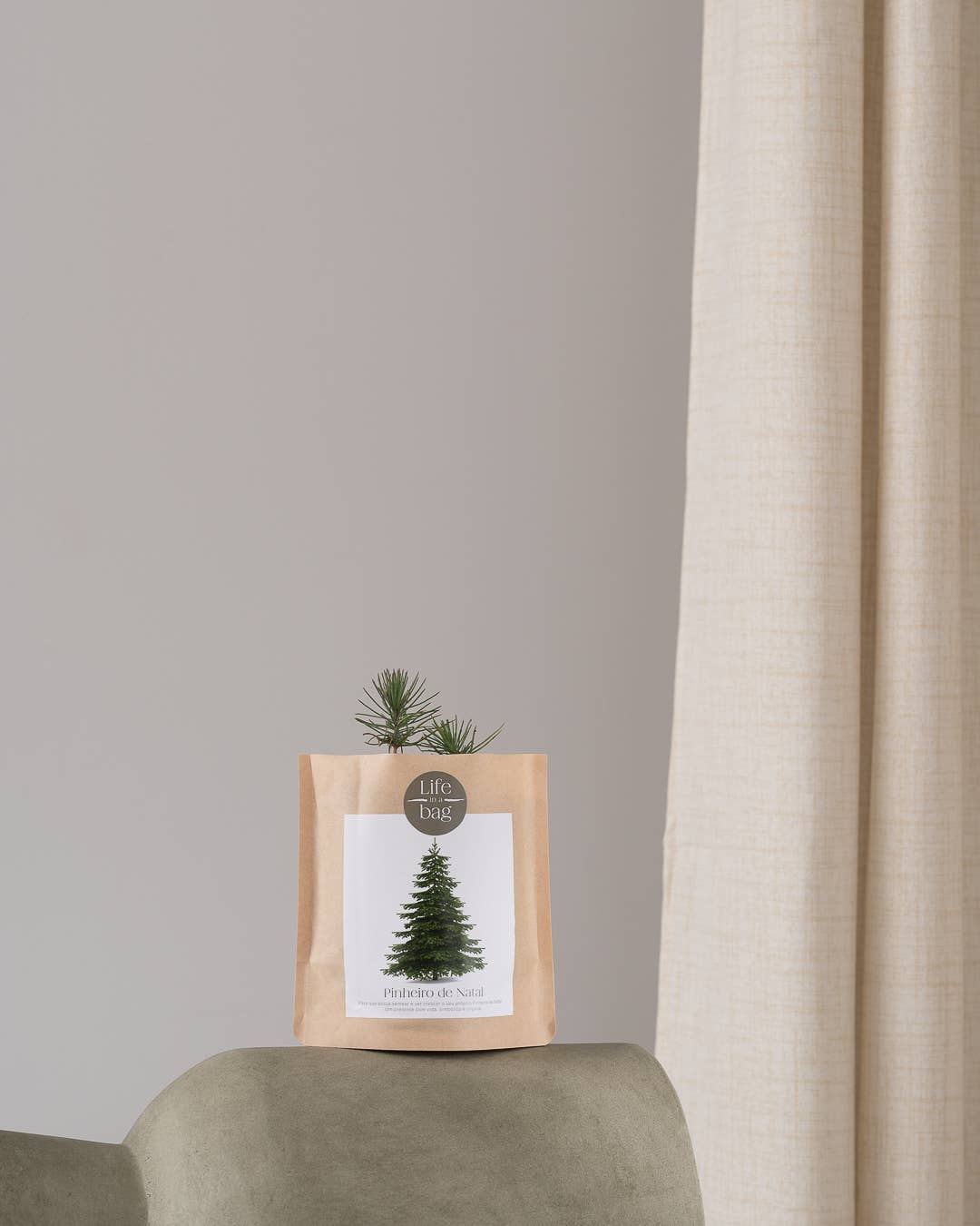 Life in a bag - Wholesale Plant Seeds - Grow Bag Christmas Tree1