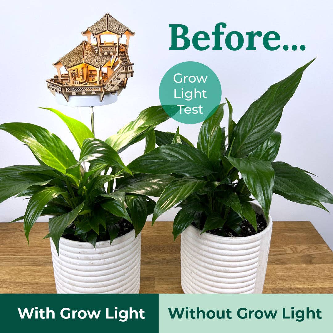 Tiny Treehouses - Wholesale DIY Craft Kit - Island Cabana + Grow Light8