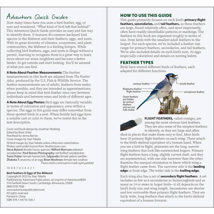 AdventureKEEN - Wholesale Nature & Outdoors - Bird Feathers & Eggs of the Midwest Quick Guide5