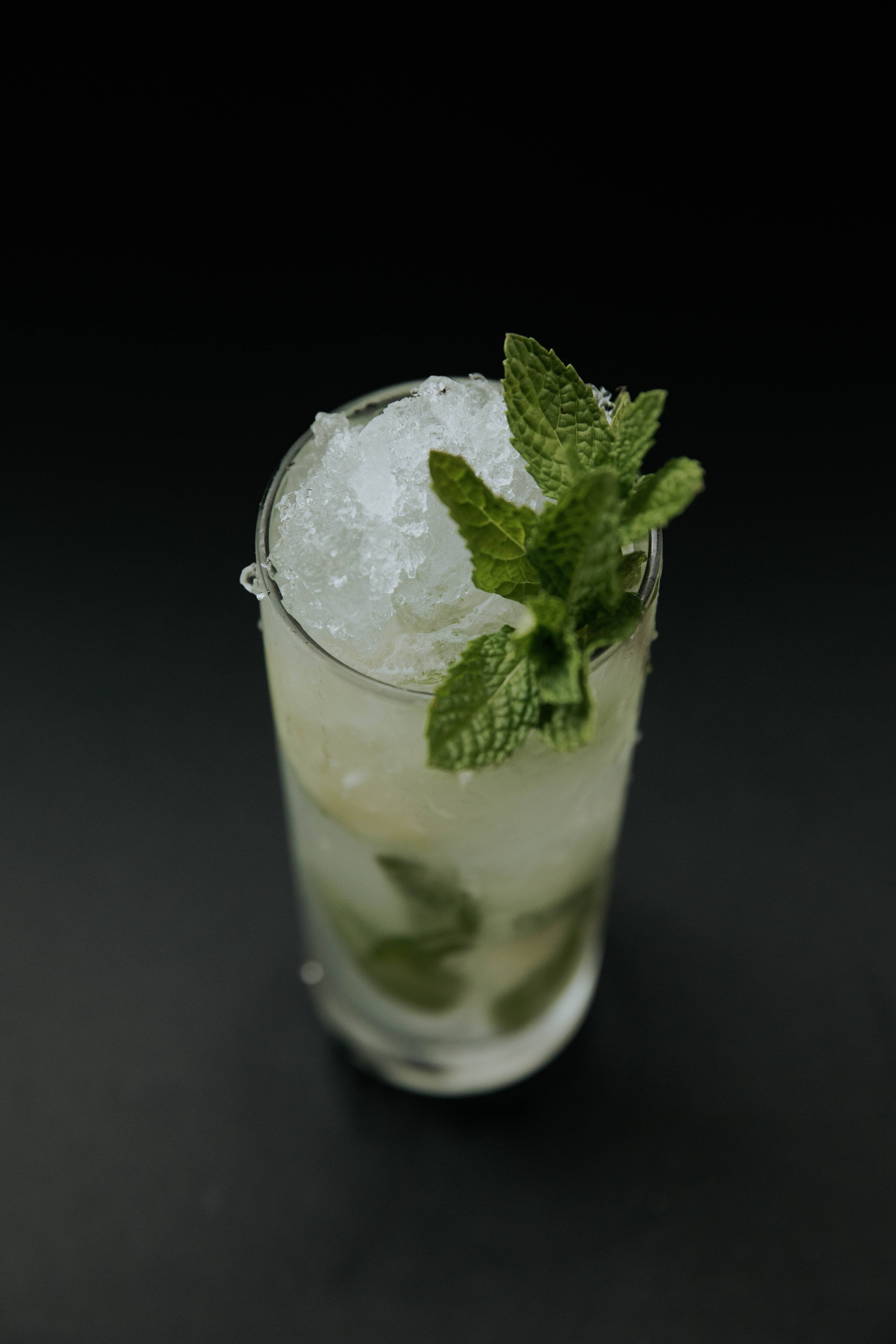 Honest John Bitters Co - Wholesale Bitters - Herbal Bitters Set - 4 x 1oz.5