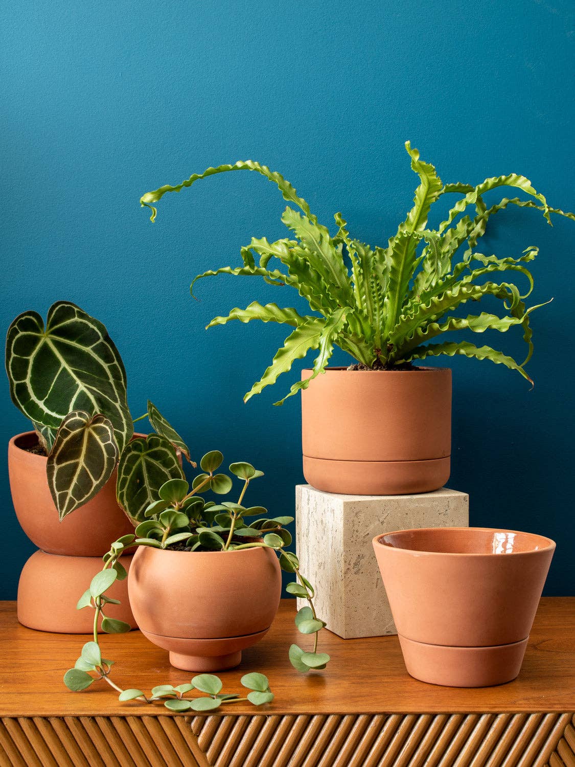 Greenery Unlimited - Wholesale Plant Pot - Sutton 15 Ceramic Self Watering Pot16