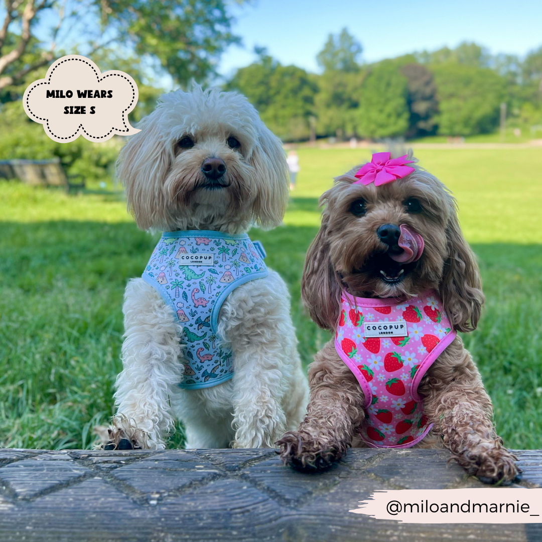 Cocopup London - Venta al por mayor Arnés - Perros - Arnés ajustable para cuello Dinopaws19