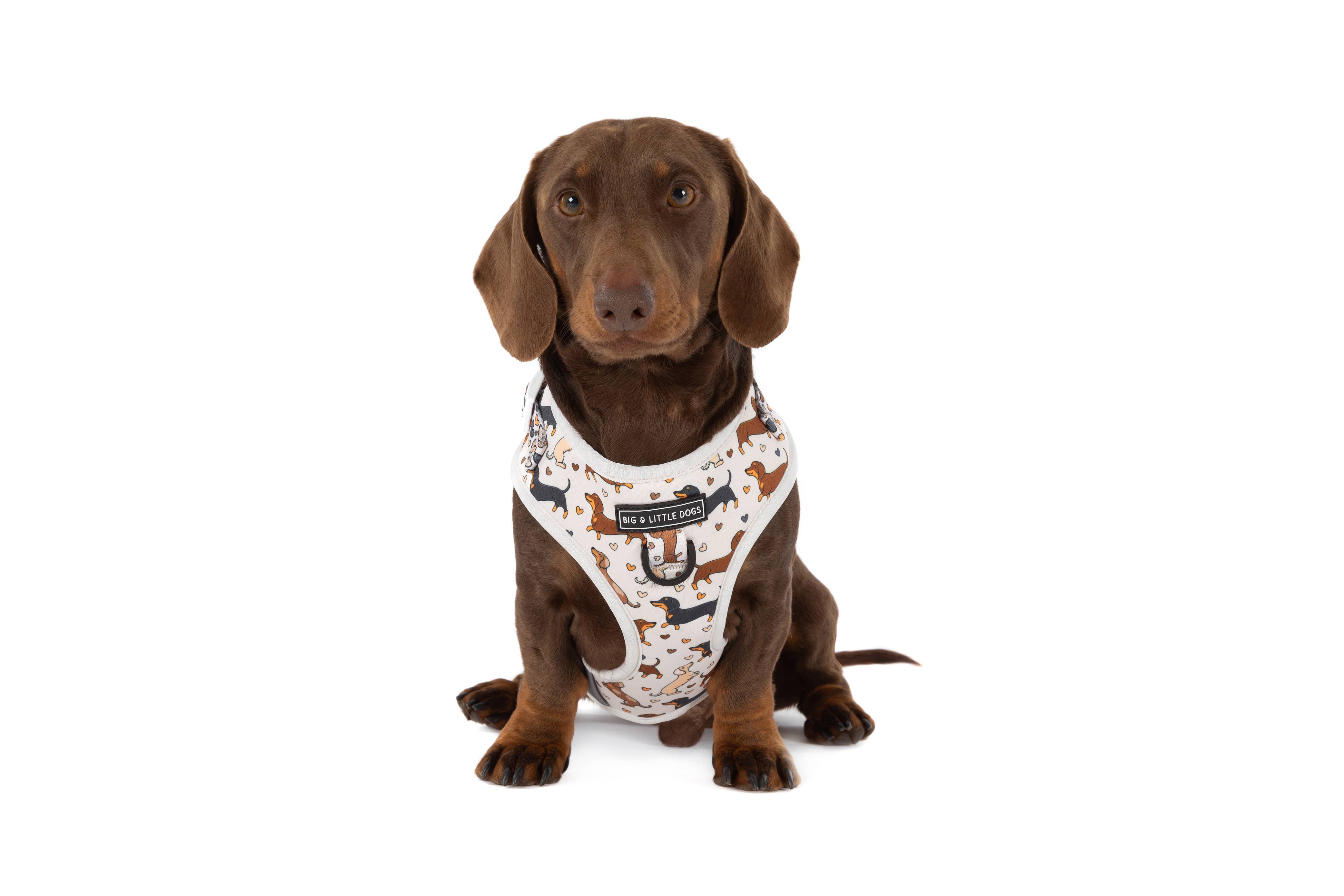 Big and Little Dogs - Wholesale Pet Harness - Dog - ADJUSTABLE DOG HARNESS: Dashie Lovers6