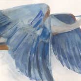Great Blue Heron ~ "Glide" ~ "Oh, to Fly" ~ Giclée Print for wholesale by Holly Wach Art LLC