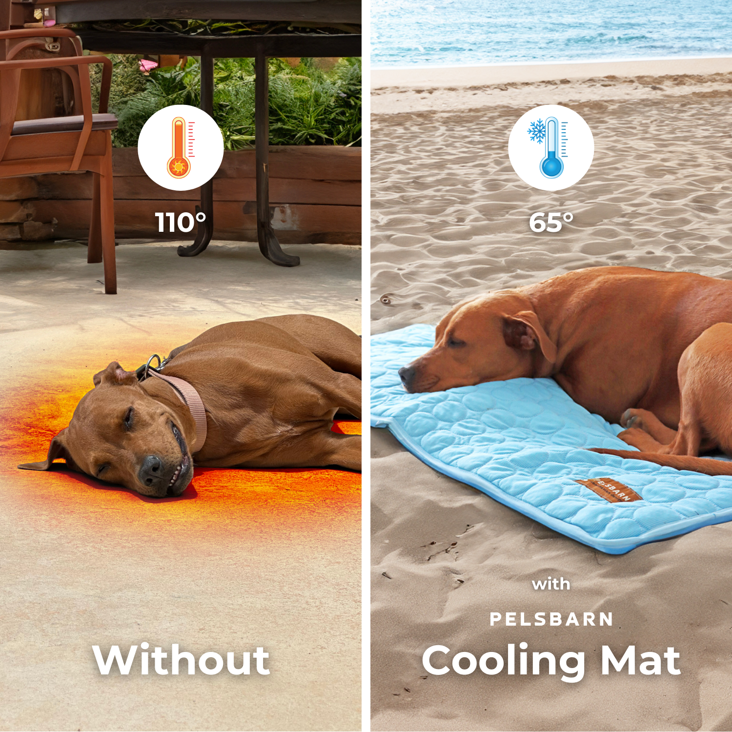 Pelsbarn - Wholesale Pet Bed - Dog - Natural Cooling Mat - Pelsbarn helps shelter dogs!13