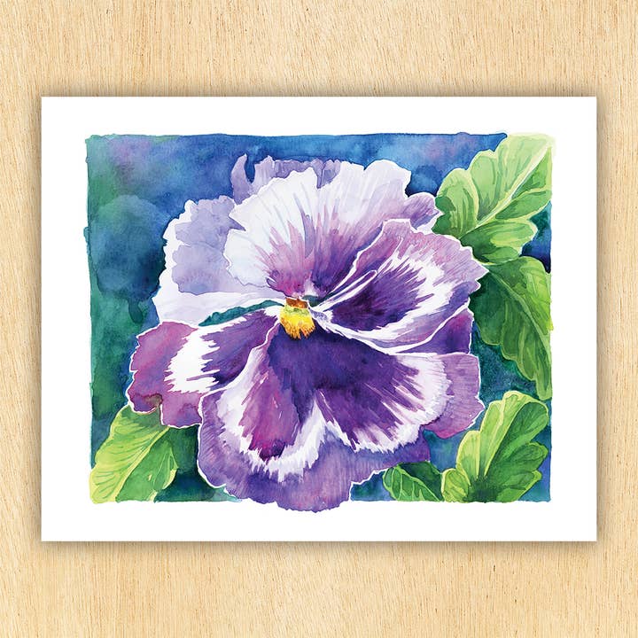 Pansy Art Print for wholesale by Mary M Spencer Design