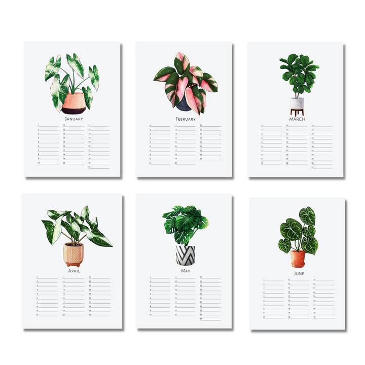 plantyintroverts - Wholesale Calendar - Perpetual calendar birthday green plants botanic6