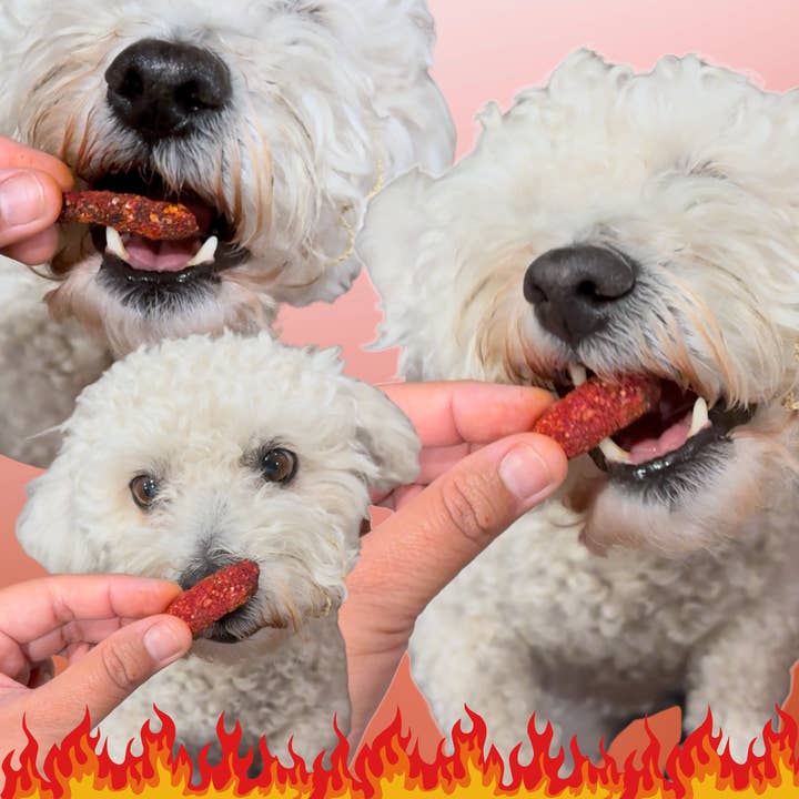 Owa Owa - Wholesale Pet Treats - Dog - Fluffin Hot Cheewtos!2