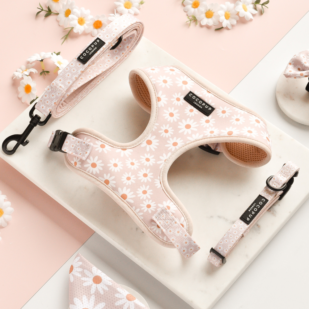 Cocopup London – wholesale Pet collar – Dog – Daisy Chain Collar2