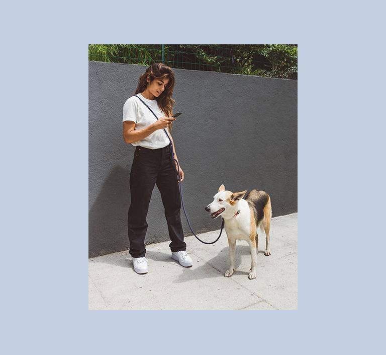 Zee.Dog - Wholesale Pet Leash - Dog - Deep Blue | Hands-Free Leash5