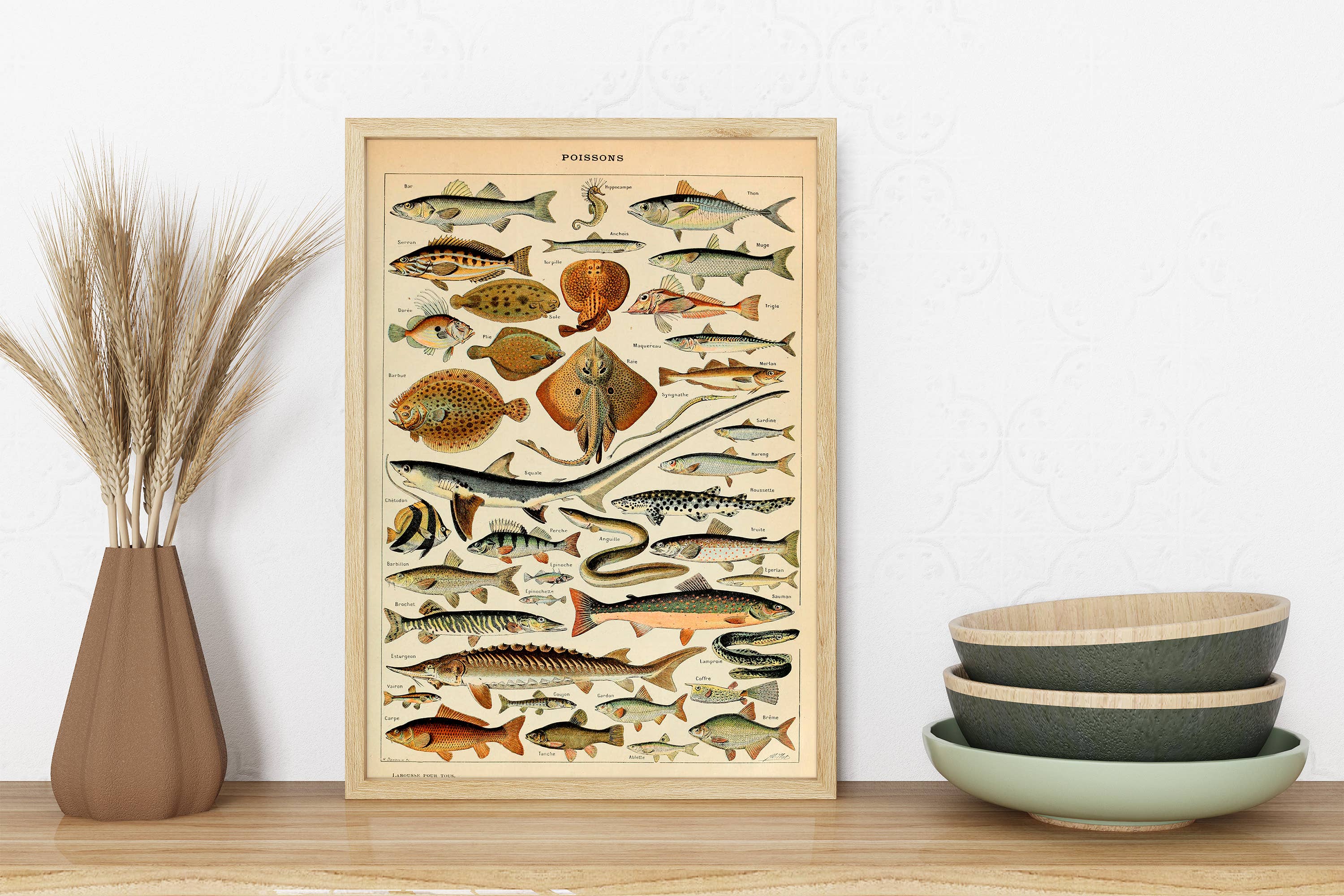 Swinford Designs - Wholesale Art Print - Vintage Fish Guide Art Print - Illustrated Chart Poissons B2