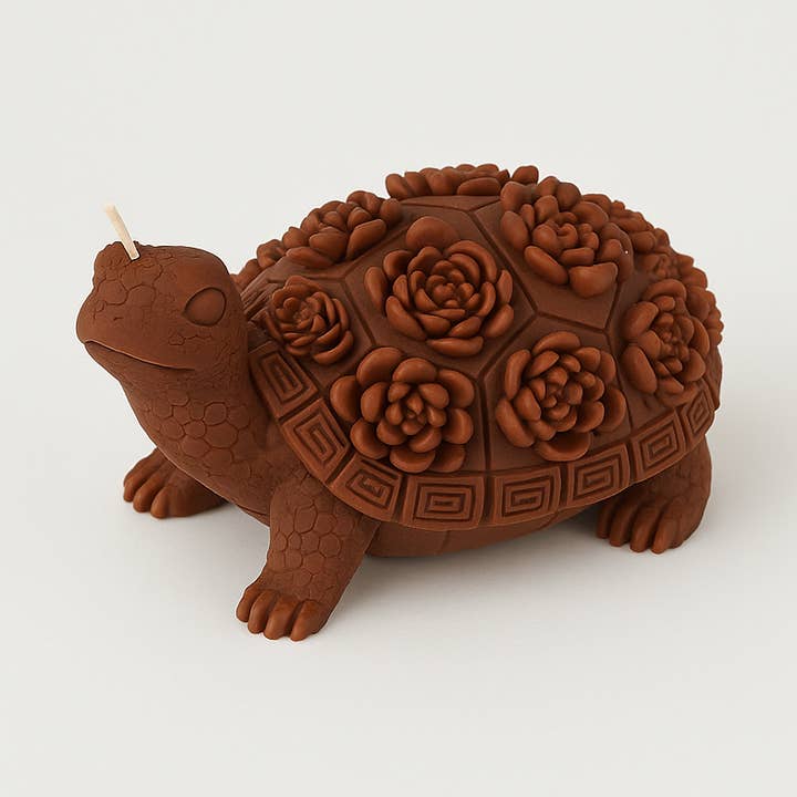 Turtle for wholesale by Soul Sent