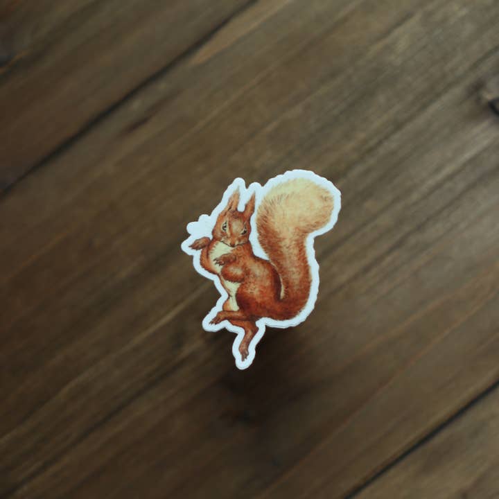 Novel Book Store - Wholesale Sticker - Sticker - Squirrel Nutkin