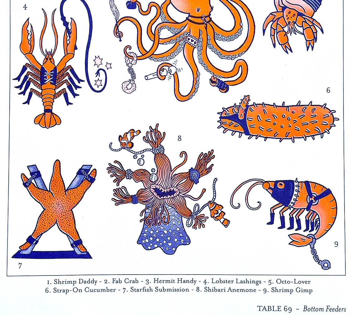 Tamiko Sidore Studio - Wholesale Art Print - Bottom Feeders Scientific Illustration - Risograph Print1