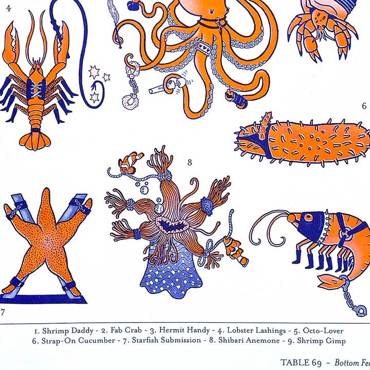 Tamiko Sidore Studio - Wholesale Art Print - Bottom Feeders Scientific Illustration - Risograph Print1