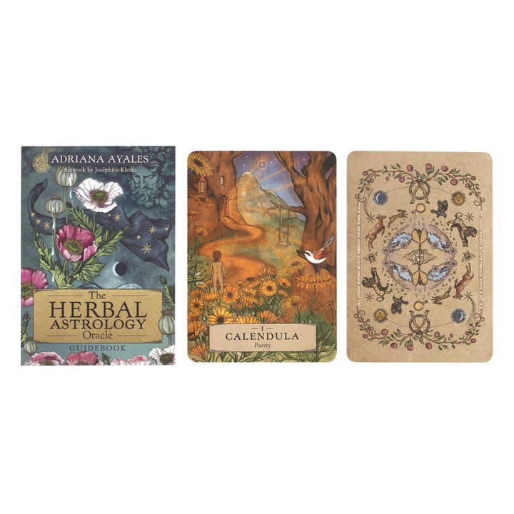 Something Different Wholesale - Wholesale Tarot Cards - The Herbal Astrology Oracle Cards2