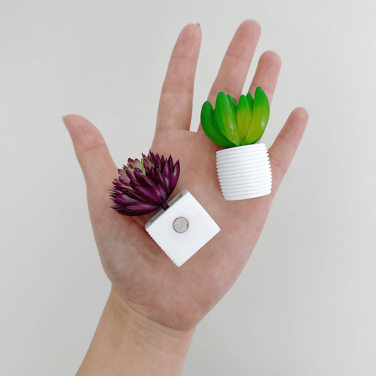 Wrapables.com - Wholesale Magnet - Wrapables 3D Resin Fridge Magnets, Food Simulation60