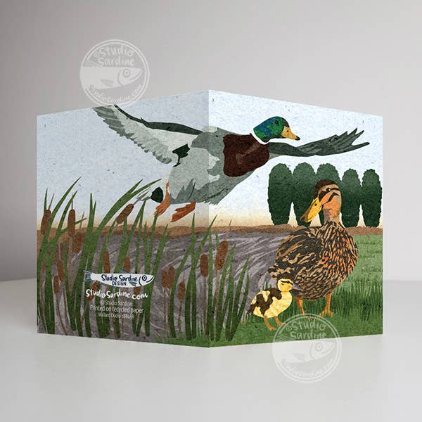 Cartes-notes Mallard Ducks au format A2, cartes de vœux vierges pour la vente par Studio Sardine