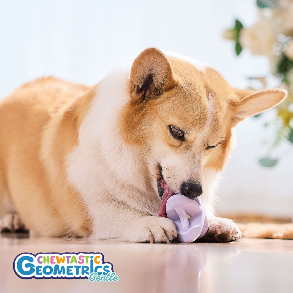 Poochie-Pets - Wholesale Pet Chew Toy - Dog - Geo-AstroRolly Natural Rubber Enrichment Dog Toy 
2